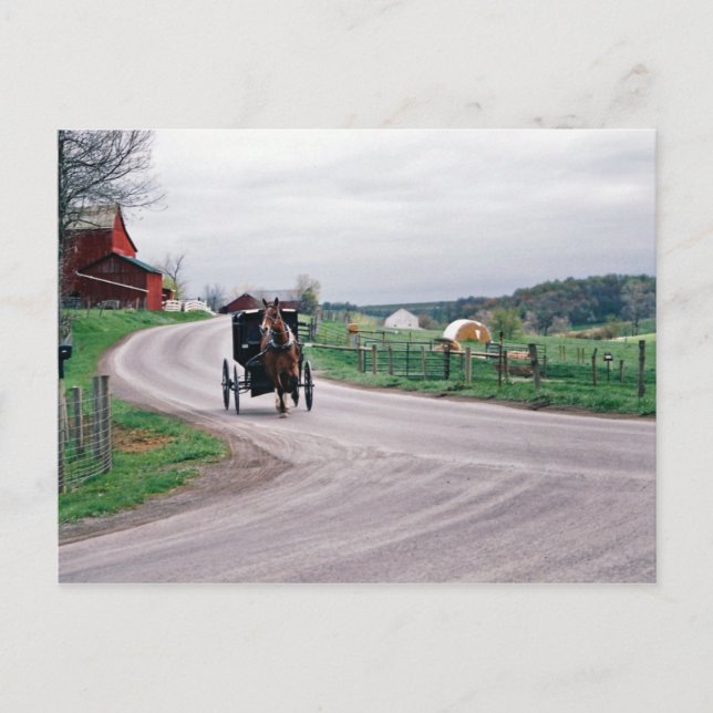 Postal Amish Country Road (Anverso)