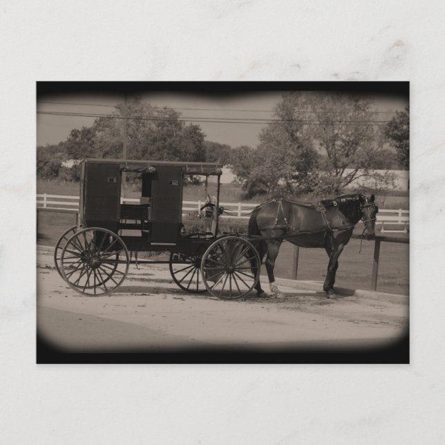 Postal Amish Country Sugarcreek, Ohio (Anverso)
