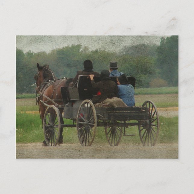 Postal Amish Family Outing (Anverso)