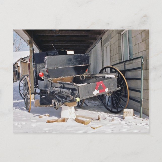 Postal Amish Flat-Postcard (Anverso)