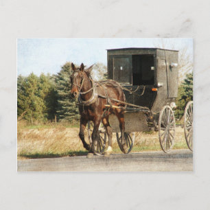 Postal Amish Horse and Buggy