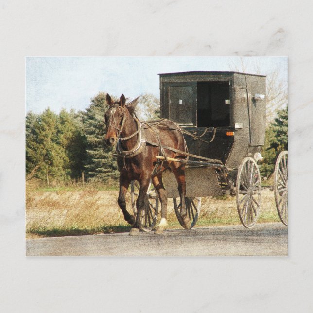 Postal Amish Horse and Buggy (Anverso)