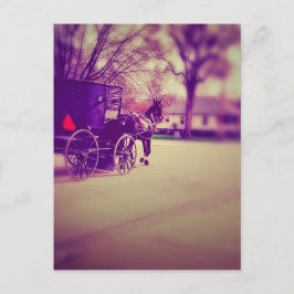 Postal Amish Horse and Buggy