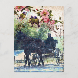 Postal Amish Horse and Buggy Birdie Textura