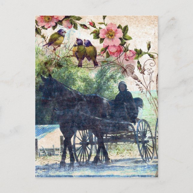 Postal Amish Horse and Buggy Birdie Textura (Anverso)