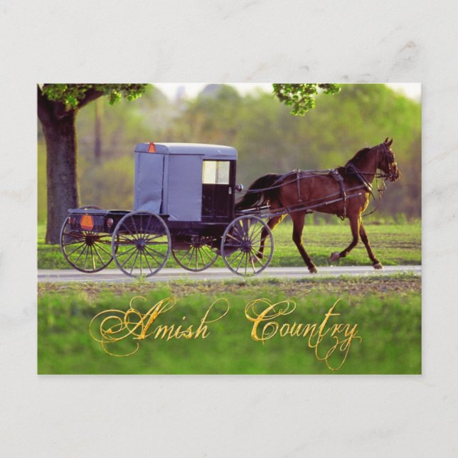 Postal Amish Horse and Buggy, Lancaster, PA (Anverso)