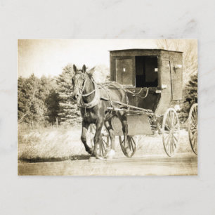 Postal Amish Horse and Buggy Sepia Kalona Iowa