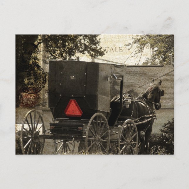 Postal Amish Horse and Buggy Sepia Postcard Digital Art (Anverso)