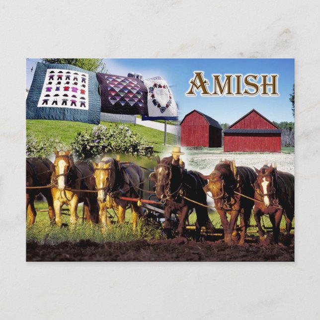 Postal Amish Life in Lancaster, Pennsylvania (Anverso)