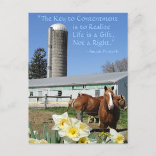 Postal Amish Postcard Life es un regalo. Añadir tu texto.