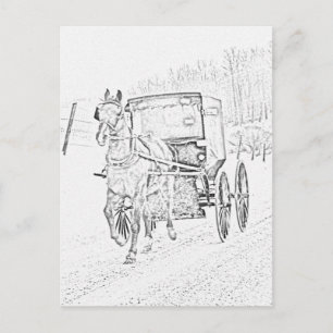 Postal Amish Sketch-Horse y Buggy-Postcard
