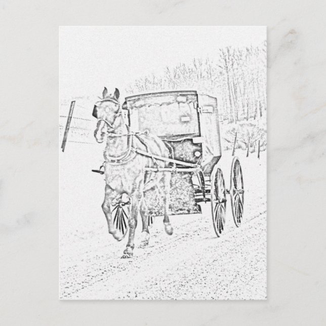 Postal Amish Sketch-Horse y Buggy-Postcard (Anverso)