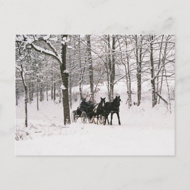 Postal Amish Winter Snow-Postcard (Anverso)