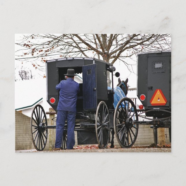 Postal Amishman Cargando Buggy (Anverso)