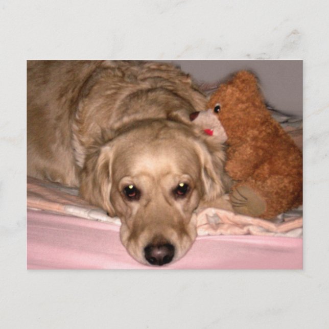 Postal Amistad (Anverso)