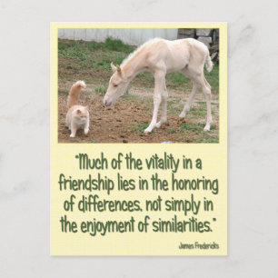 Postal Amistad Cremello Companions