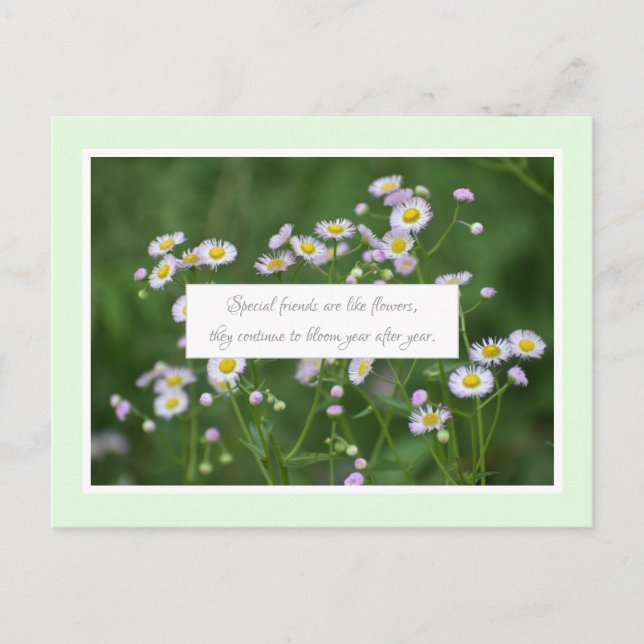 Postal Amistad Especial (Anverso)