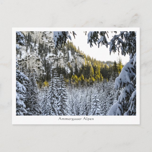 Postal Ammergauer Alpen (Anverso)