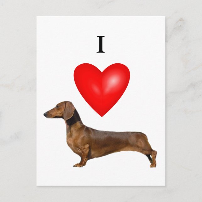 Postal Amo a Dachshunds (Anverso)