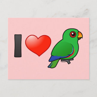 Postal Amo a Eclectus Parrots (macho)