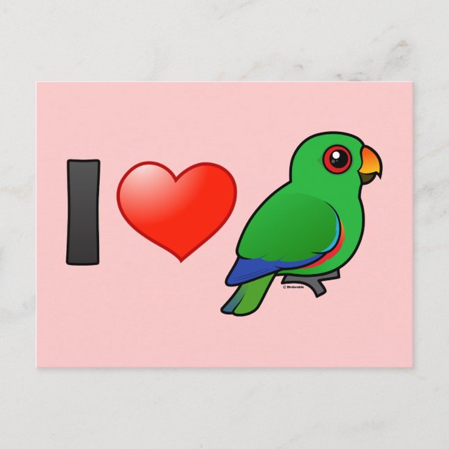 Postal Amo a Eclectus Parrots (macho) (Anverso)