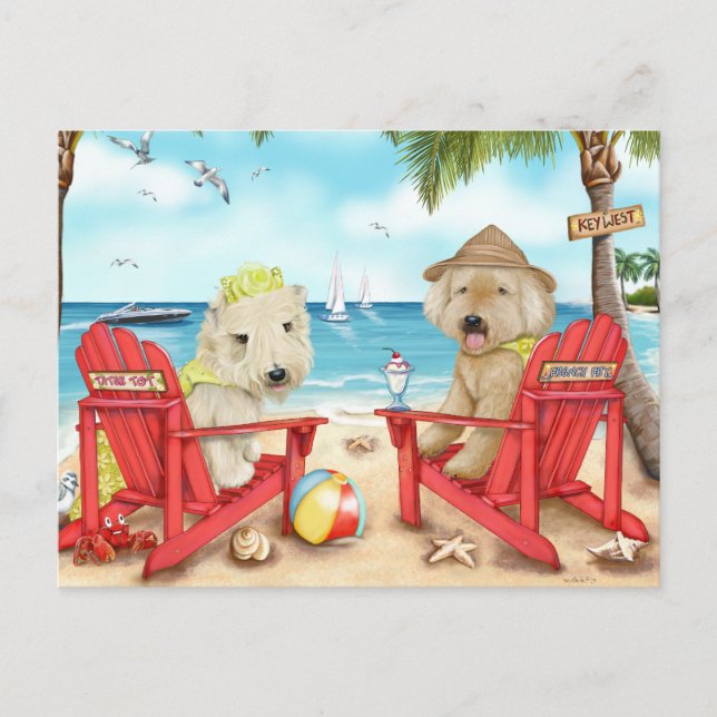 Postal Amo a la clave oeste (Anverso)