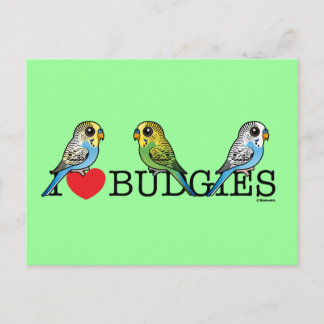 Postal Amo a las Budgies