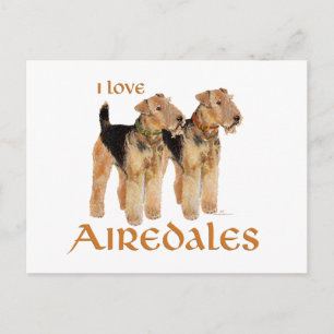 Postal Amo a los Airedales