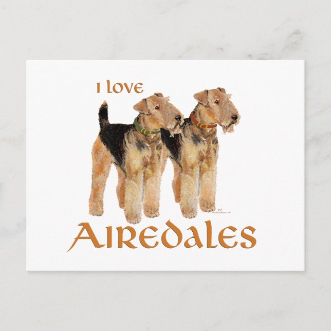 Postal Amo a los Airedales (Anverso)