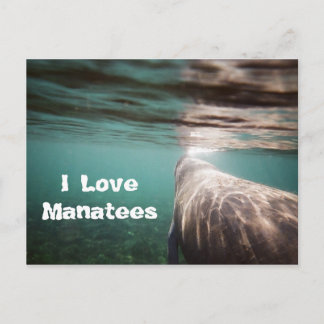 Postal Amo a los Manatíes