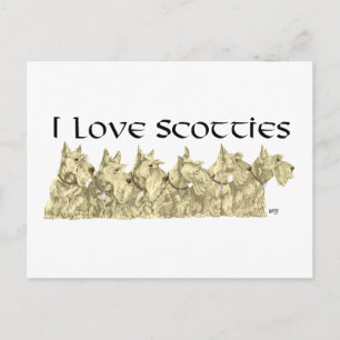 Postal Amo a los Scotties - Línea de Scottie Wheaten