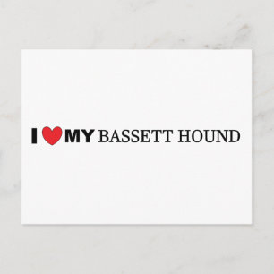 Postal amo a mi basset hound
