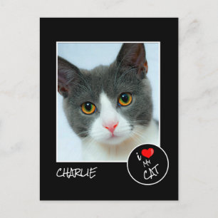 Postal Amo a mi gato, foto Personalizado - amantes de la 