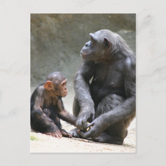 Postal 'Amo a mi mamá' (Anverso)