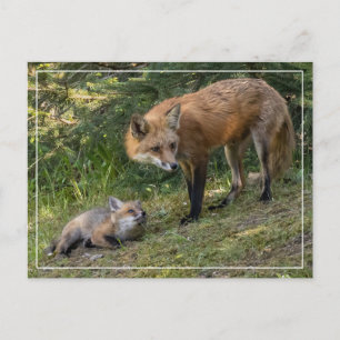 Postal Amo A Mi Mamá