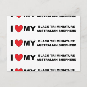 Postal amo a mi mini aussie tri negro