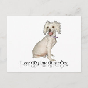Postal Amo a mi pequeño perro blanco - mezcla de caniche