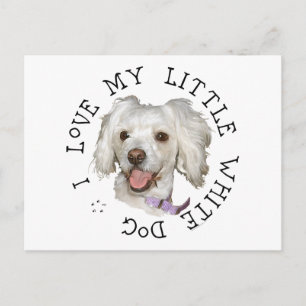 Postal Amo a mi pequeño perro blanco Poodle / Bichon Mix