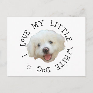 Postal Amo a mi pequeño perro blanco rescatado