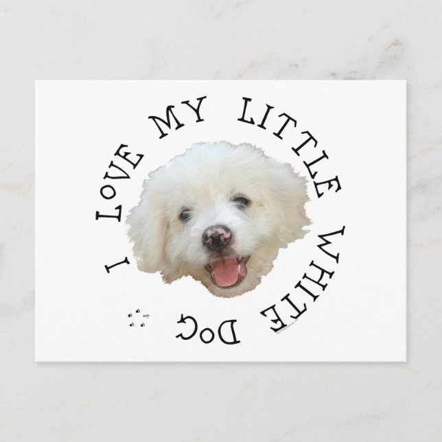 Postal Amo a mi pequeño perro blanco rescatado (Anverso)