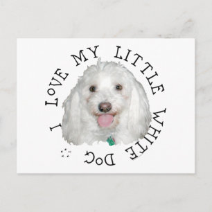 Postal Amo a mi pequeño perro blanco (rescatado)