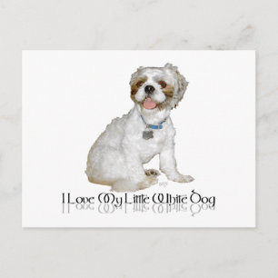 Postal Amo a mi pequeño perro blanco - Shih Tzu