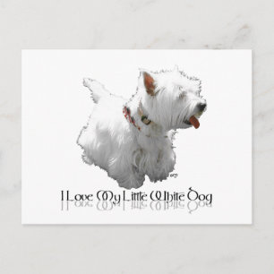 Postal Amo a mi pequeño perro blanco - Westie