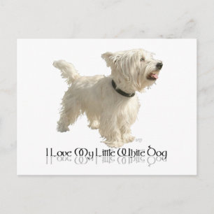 Postal Amo a mi pequeño perro blanco - Westie