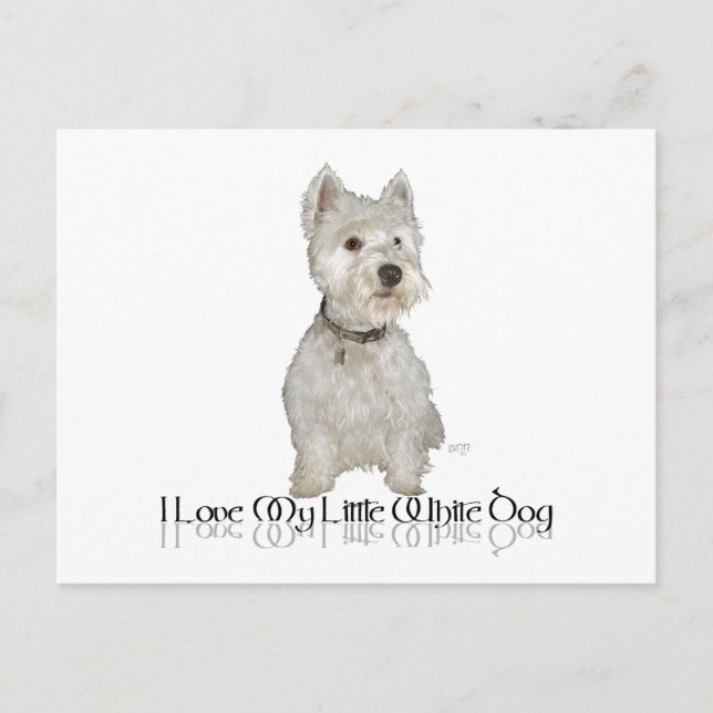 Postal Amo a mi pequeño perro blanco - Westie (Anverso)