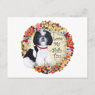 Postal Amo a mi Shih Tzu