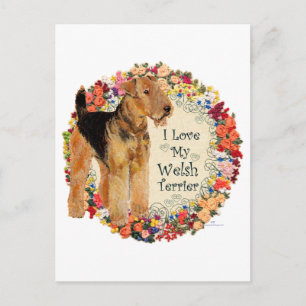 Postal Amo a mi Welsh Terrier