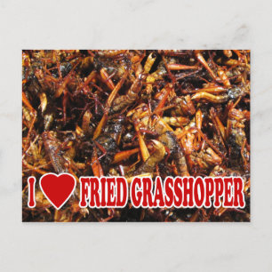 Postal Amo al pastor frito (corazón)