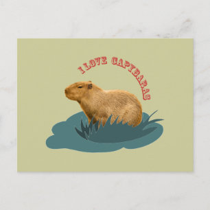 Postal Amo capybaras