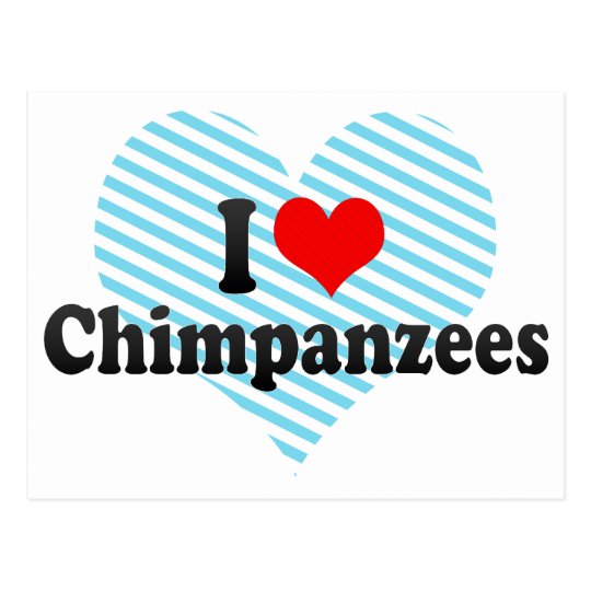 Postal Amo chimpancés
